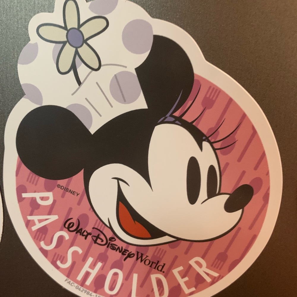 Passholder magnet